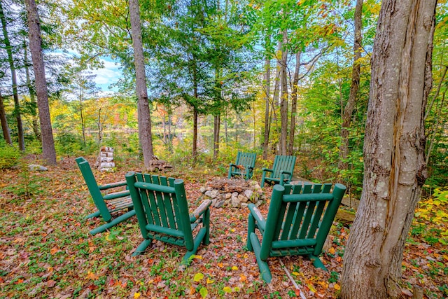 11 Goss Pond Rd, Bethel, ME 04217 - view of yard