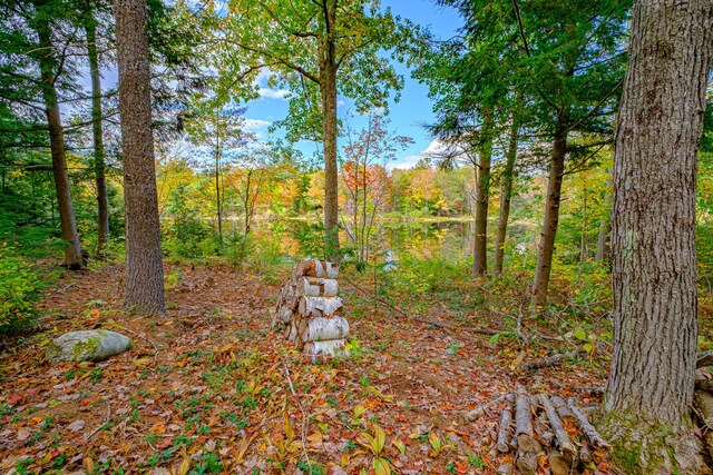 11 Goss Pond Rd, Bethel, ME 04217 - view of yard with a view of trees