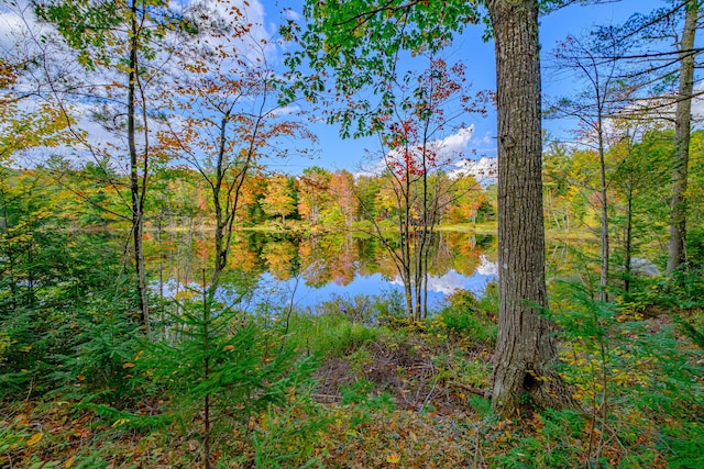 11 Goss Pond Rd, Bethel, ME 04217 - water view featuring a forest