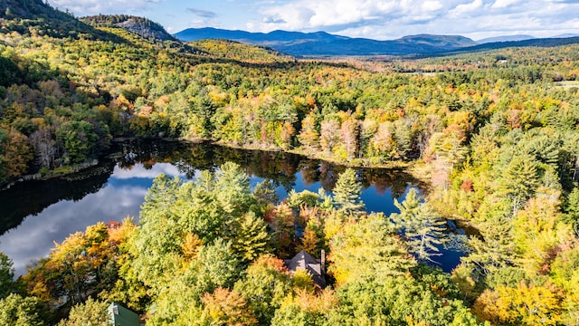 drone / aerial view with a water and mountain view