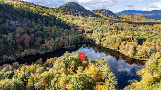 birds eye view of property with a water and mountain view