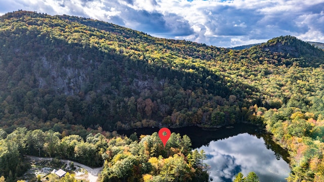 drone / aerial view with a water and mountain view