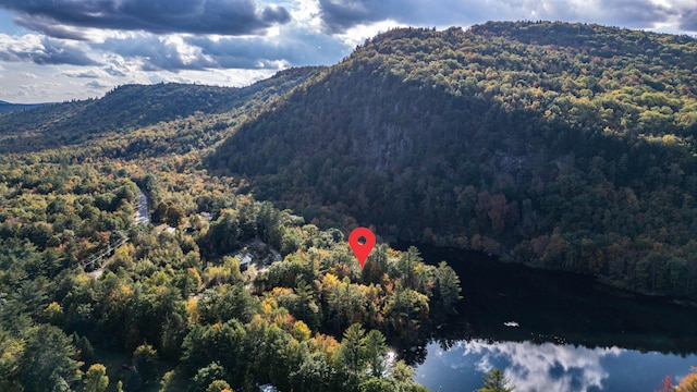 11 Goss Pond Rd, Bethel, ME 04217 - view of mountain backdrop featuring a forest and a large body of water