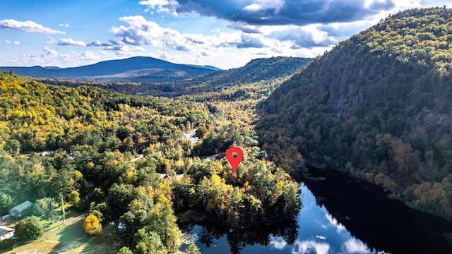 11 Goss Pond Rd, Bethel, ME 04217 - mountain view with a forest and a large body of water