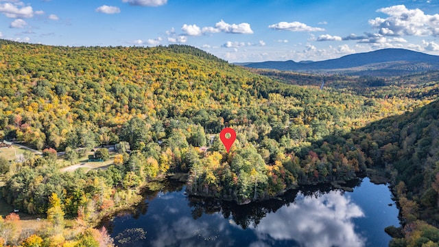 drone / aerial view with a water and mountain view