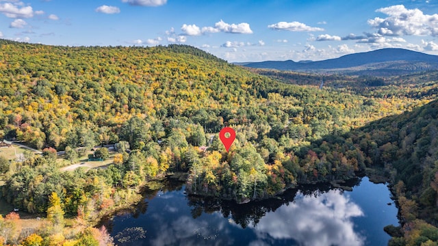 11 Goss Pond Rd, Bethel, ME 04217 - aerial overview of property's location with a forest and a water and mountain view