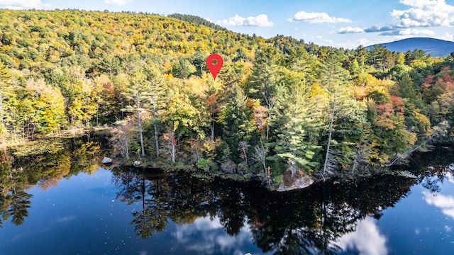 11 Goss Pond Rd, Bethel, ME 04217 - mountain view featuring a forest