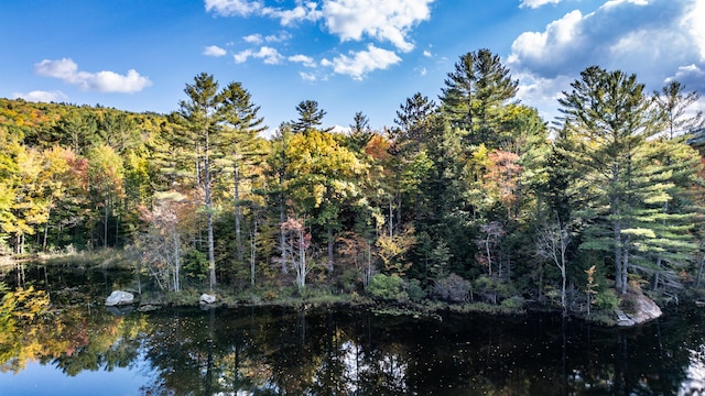 11 Goss Pond Rd, Bethel, ME 04217 - water view with a forest
