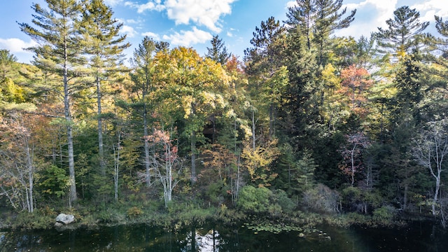 view of local wilderness with a water view