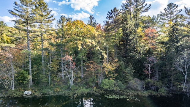11 Goss Pond Rd, Bethel, ME 04217 - view of wooded area