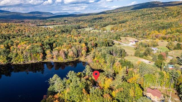 birds eye view of property with a water and mountain view