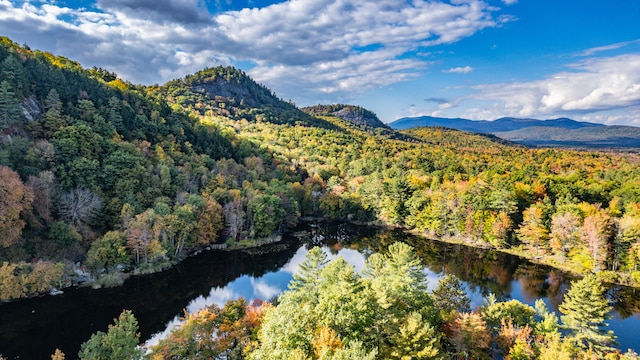 property view of mountains featuring a water view