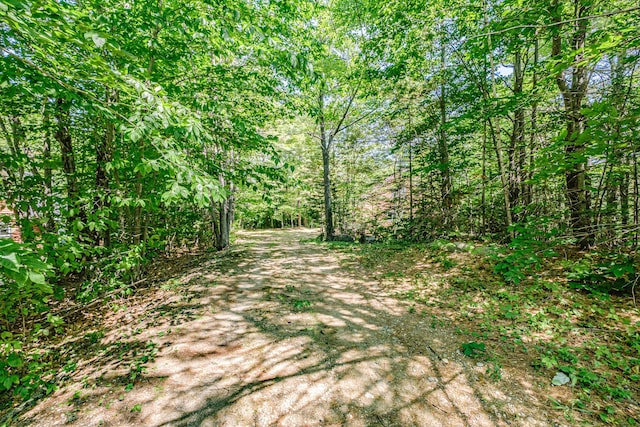 11 Goss Pond Rd, Bethel, ME 04217 - view of dirt / gravel road with a wooded view