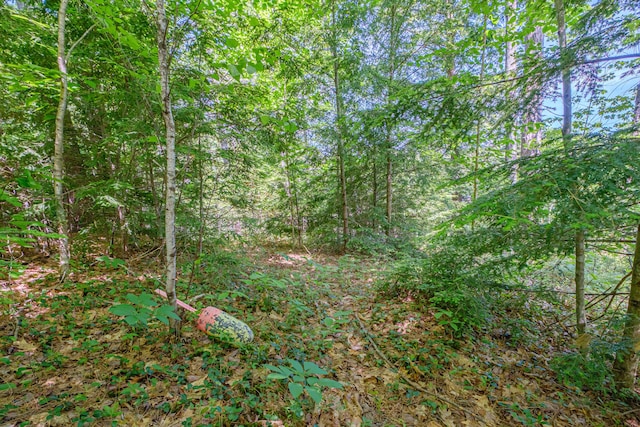 11 Goss Pond Rd, Bethel, ME 04217 - view of tree filled area