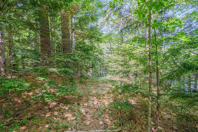 11 Goss Pond Rd, Bethel, ME 04217 - view of tree filled area