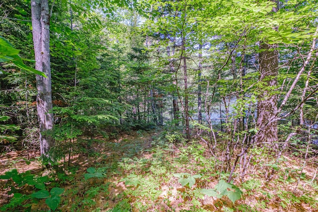 11 Goss Pond Rd, Bethel, ME 04217 - view of wooded area