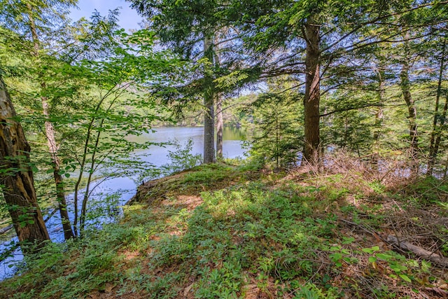11 Goss Pond Rd, Bethel, ME 04217 - water view