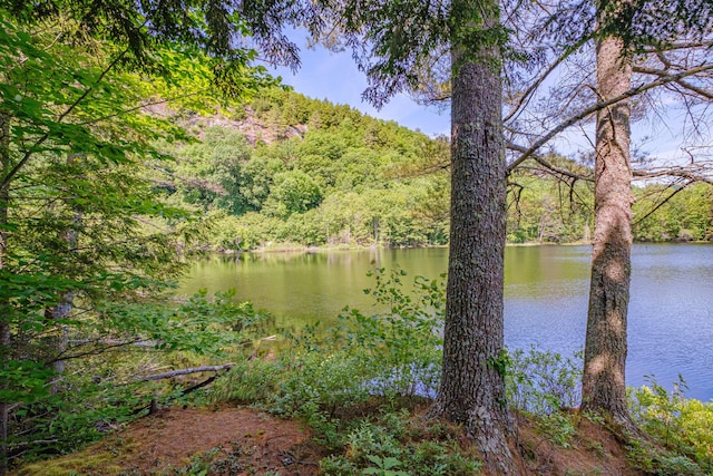 11 Goss Pond Rd, Bethel, ME 04217 - water view featuring a forest