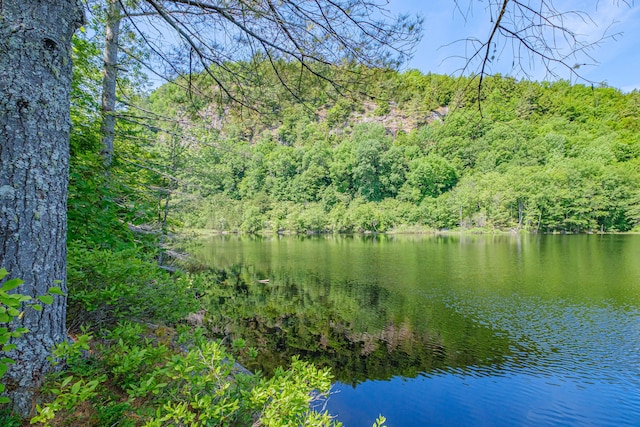 11 Goss Pond Rd, Bethel, ME 04217 - water view with a heavily wooded area
