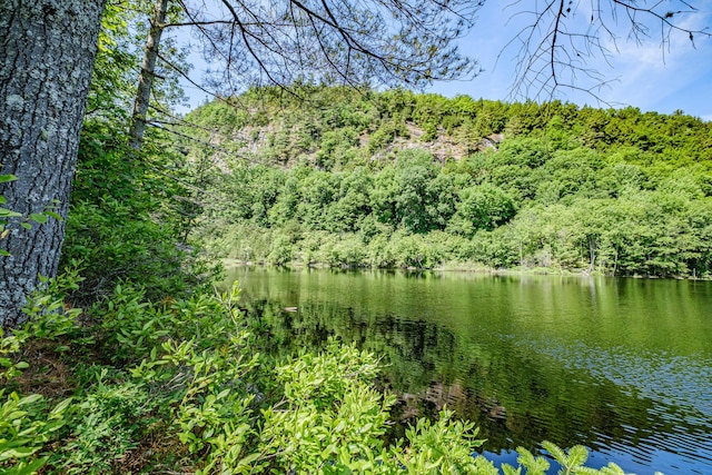11 Goss Pond Rd, Bethel, ME 04217 - water view featuring a heavily wooded area