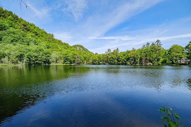 11 Goss Pond Rd, Bethel, ME 04217 - water view with a forest