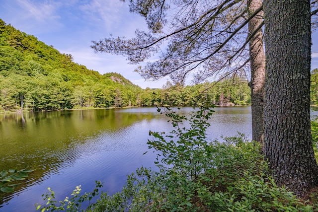 11 Goss Pond Rd, Bethel, ME 04217 - water view with a forest