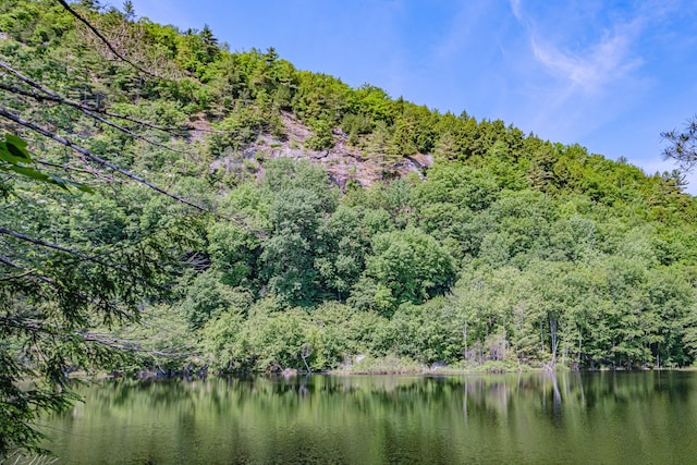 11 Goss Pond Rd, Bethel, ME 04217 - water view featuring a forest