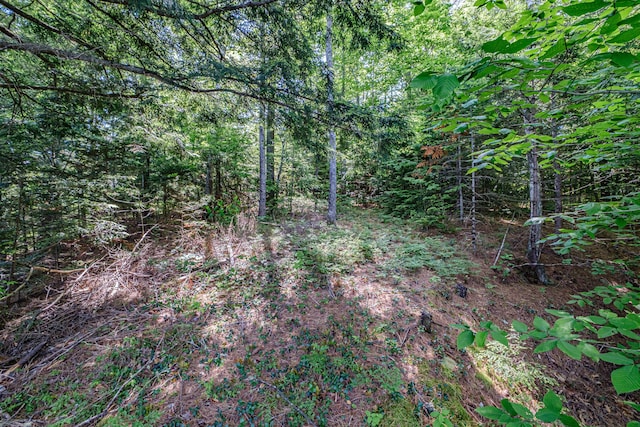 11 Goss Pond Rd, Bethel, ME 04217 - view of woods