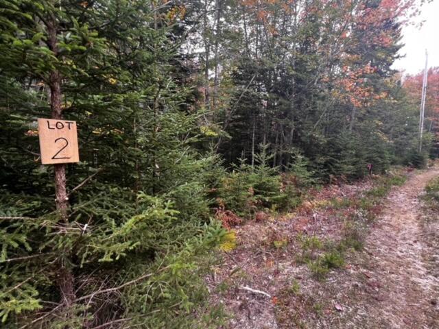 12-2 S S Burnt Cove Rd, Stonington, ME 04681 - photo 2