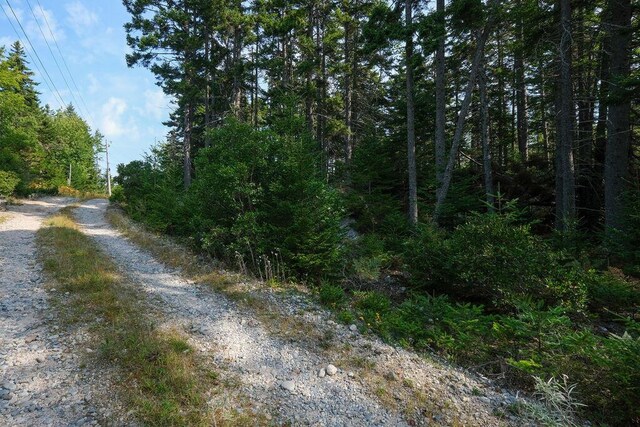 12-2 S S Burnt Cove Rd, Stonington, ME 04681 - photo 6