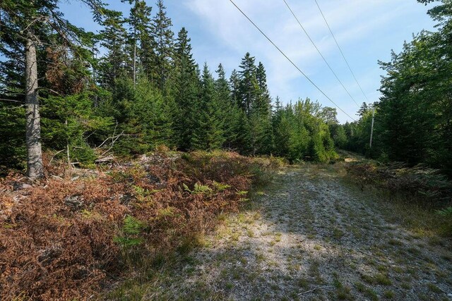 12-2 S S Burnt Cove Rd, Stonington, ME 04681 - photo 7