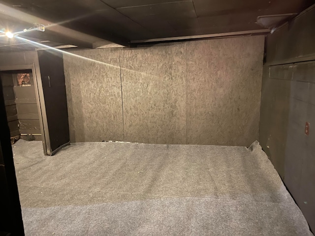 basement with carpet floors