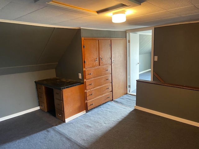 bonus room with dark colored carpet