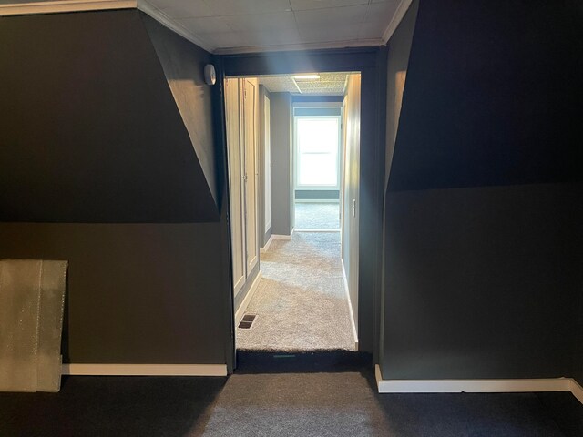 corridor featuring carpet floors and crown molding