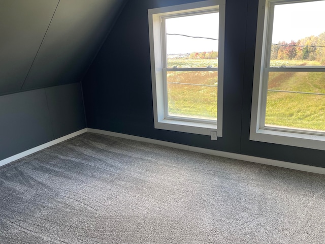 additional living space featuring carpet, vaulted ceiling, and a wealth of natural light