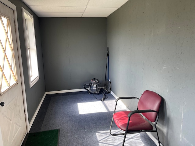 unfurnished room featuring a drop ceiling and carpet floors