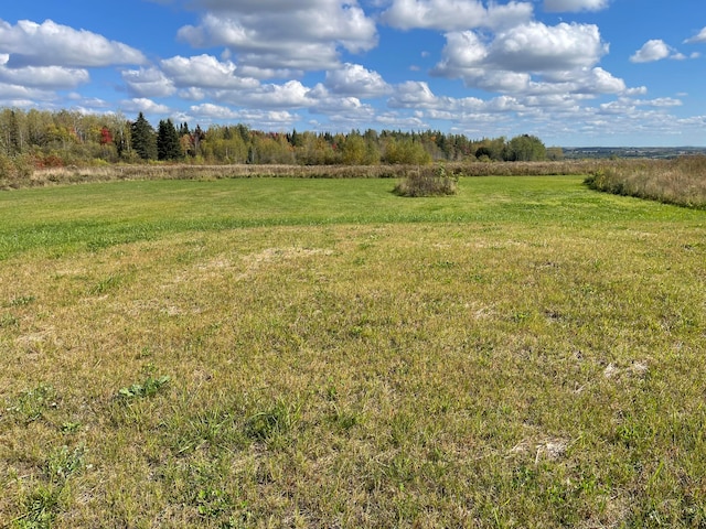 view of yard featuring a rural view