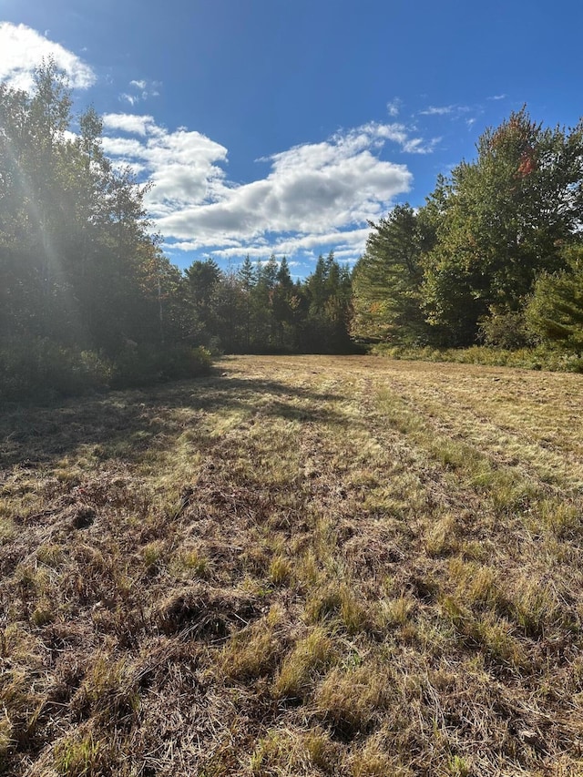 view of local wilderness