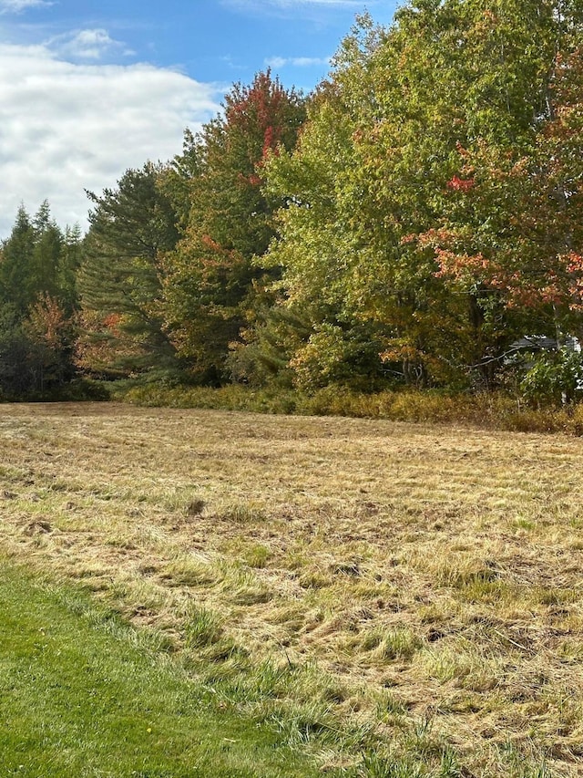 view of nature