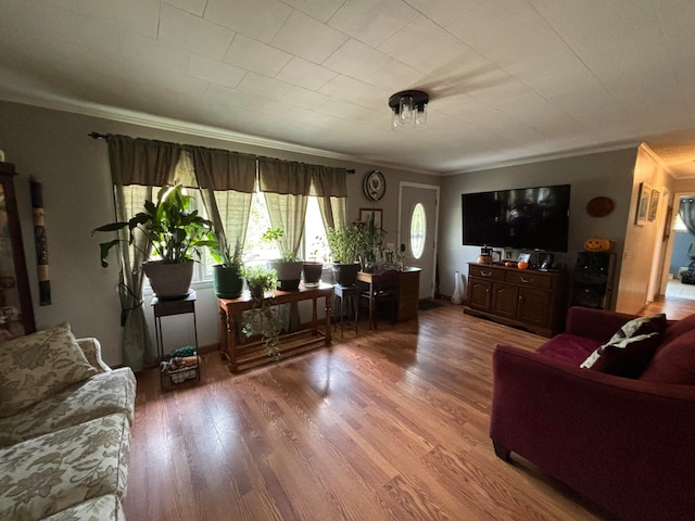 living room with ornamental molding and hardwood / wood-style floors