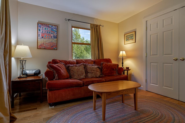 living room with light wood-type flooring