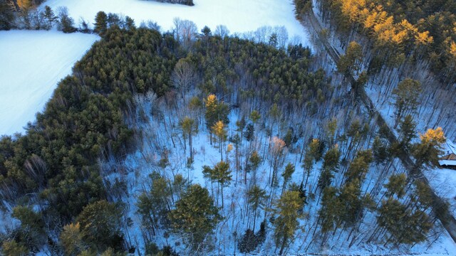 LOT12A Bear Pond Rd, Waterford, ME 04088 - photo 4