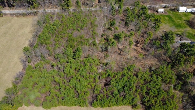 LOT12A Bear Pond Rd, Waterford, ME 04088 - photo 1