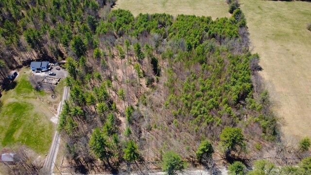 LOT12A Bear Pond Rd, Waterford, ME 04088 - photo 3