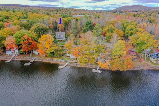 drone / aerial view featuring a water and mountain view