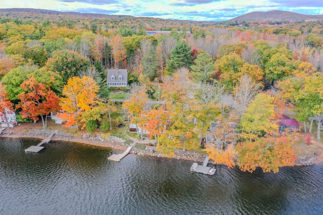 drone / aerial view featuring a water and mountain view