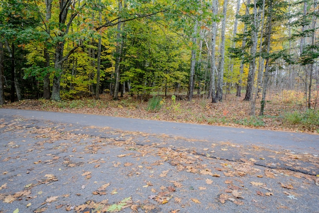 view of road