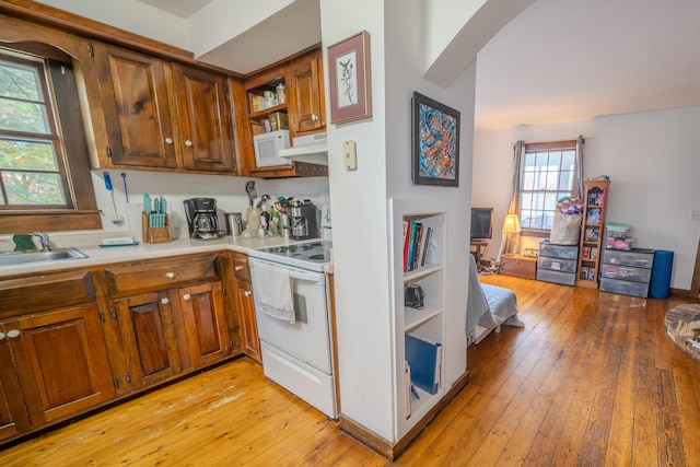 kitchen featuring a wealth of natural light, sink, light wood-type flooring, and white appliances