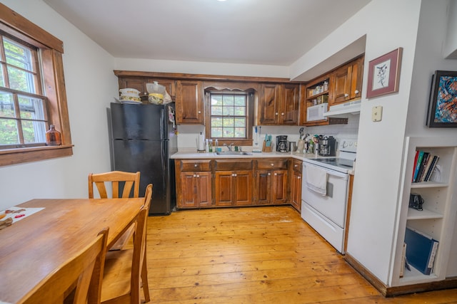 kitchen with white appliances, a healthy amount of sunlight, sink, and light wood-type flooring