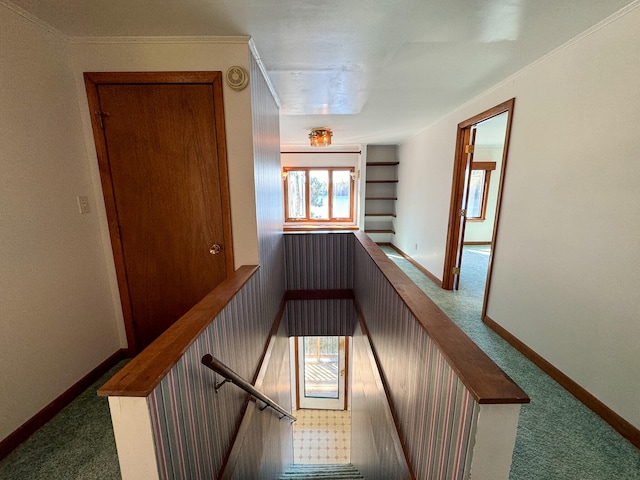 stairs with carpet and crown molding